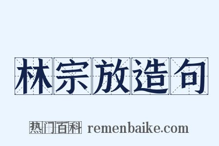 林宗放造句是什么意思的图片